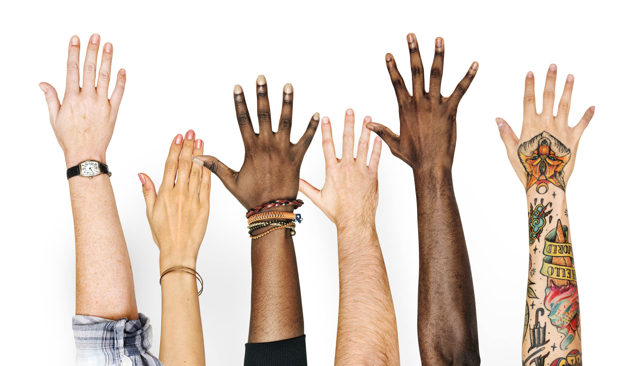 Hands up for diversity: Nautilus to fight discrimination in all its guises Image:Hands up for diversity: Nautilus to fight discrimination in all its guises