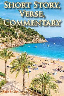 book_cover_short_story_verse_commentary.jpg