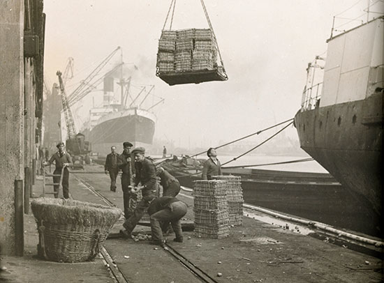 port_of_london_museum_image_discharging_potatoes_web_insert.jpg port_of_london_museum_image_discharging_potatoes_web_insert.jpg