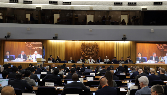 The IMO Sub-Committee on Human Element, Training and Watchkeeping (HTW), meeting in February 2024. HTW is charged with developing amendments to the STCW convention which will include new fuels training. Image: IMO Flickr Image:The IMO Sub-Committee on Human Element, Training and Watchkeeping (HTW), meeting in February 2024. HTW is charged with developing amendments to the STCW convention which will include new fuels training. Image: IMO Flickr