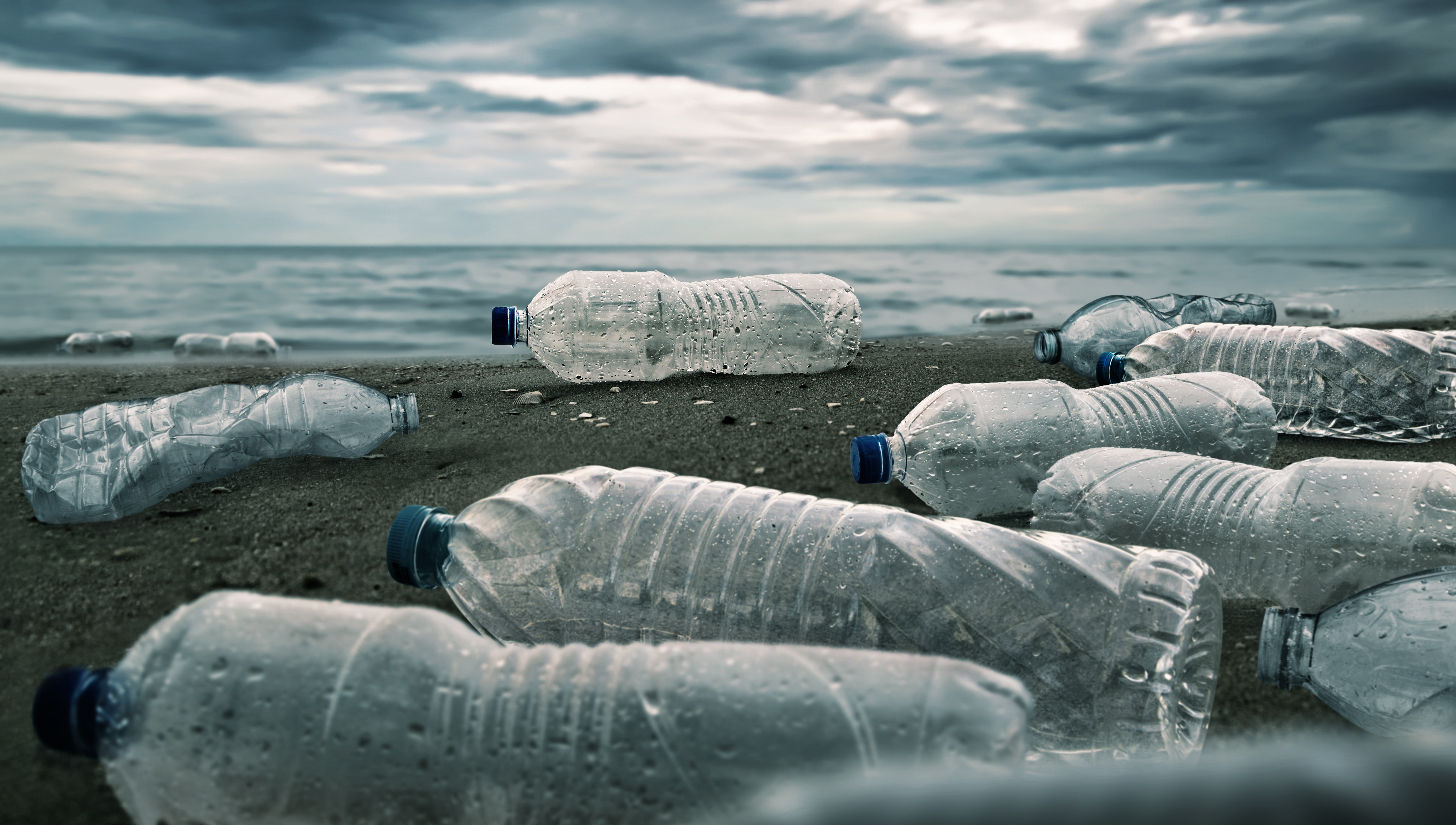 India's Directorate General of Shipping said that items banned with immediate effect include cutlery, plates, cups and drinking water bottles. Image: Getty Images Image:India's Directorate General of Shipping said that items banned with immediate effect include cutlery, plates, cups and drinking water bottles. Image: Getty Images