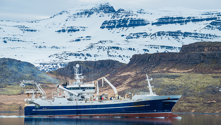 The maximum allowable sulphur content used in Iceland's territorial and inland waters, including in fjords and bays, will be lowered from 3.5% to 0.1%. Image: Getty Images Image:The maximum allowable sulphur content used in Iceland's territorial and inland waters, including in fjords and bays, will be lowered from 3.5% to 0.1%. Image: Getty Images