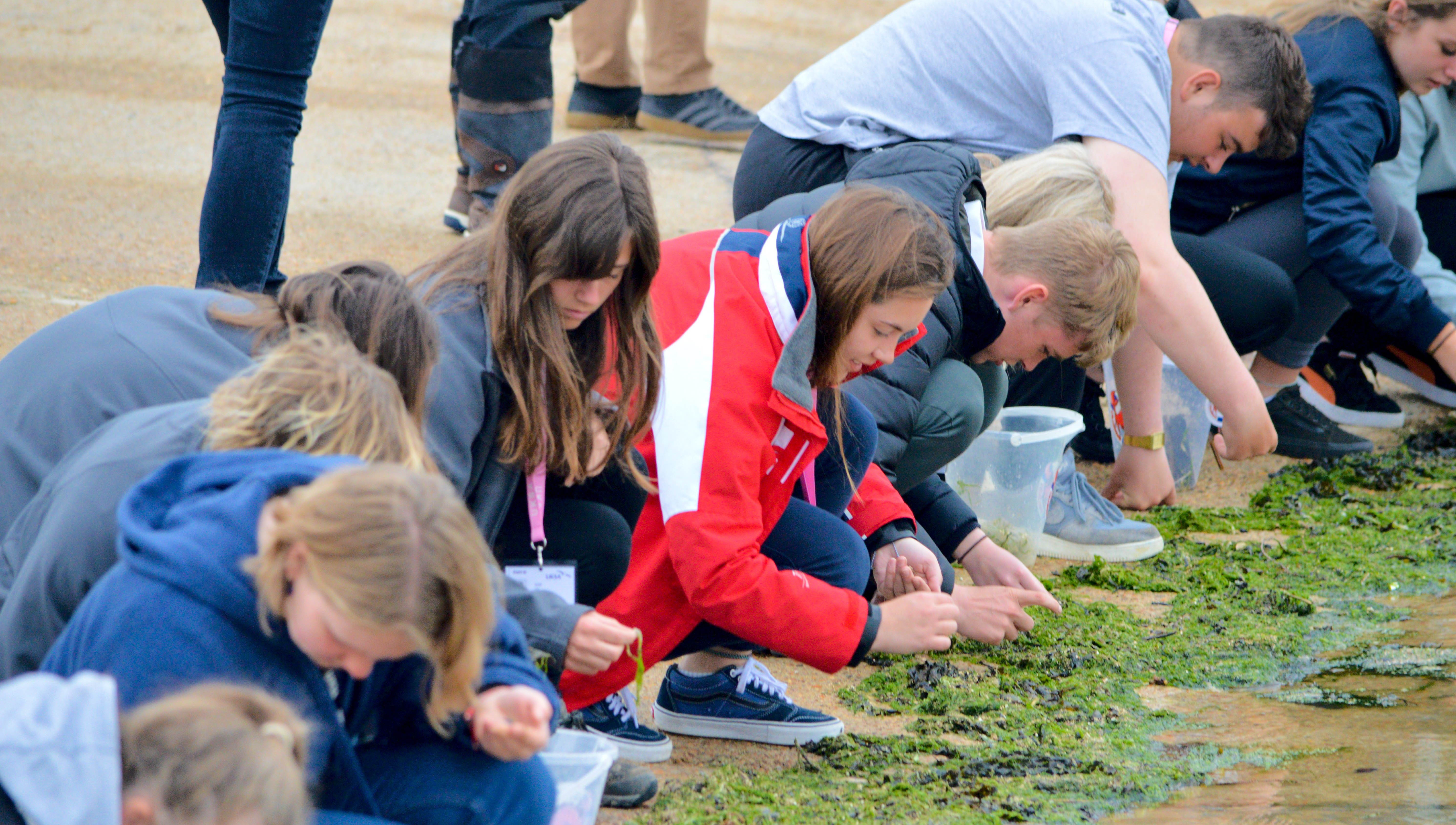 Trainees help sift plastic from debris that washes up at the Isle of Wight charity's training centre. Image:Trainees help sift plastic from debris that washes up at the Isle of Wight charity's training centre.