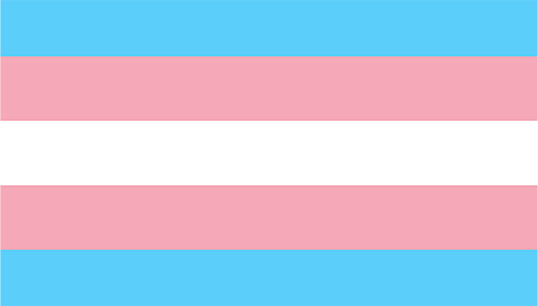 The transgender pride flag designed by US activist Monica Helms Image:The transgender pride flag designed by US activist Monica Helms