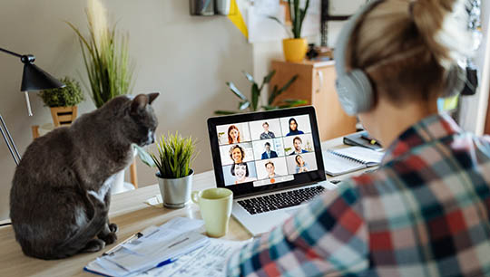 Video chat: each Equality and Diversity Forum meeting will include a guest speaker or discussion topic. Image:Video chat: each Equality and Diversity Forum meeting will include a guest speaker or discussion topic.