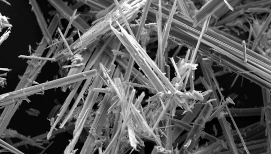 Nautilus can support members through legal cases related to asbestos exposure. Image: Wikimedia Commons Image:Nautilus can support members through legal cases related to asbestos exposure. Image: Wikimedia Commons