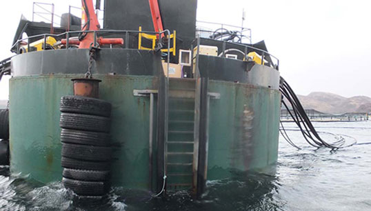 The fish farm's C-Cap feed barge showing the access ladder. Image MAIB Image:The fish farm's C-Cap feed barge showing the access ladder. Image MAIB