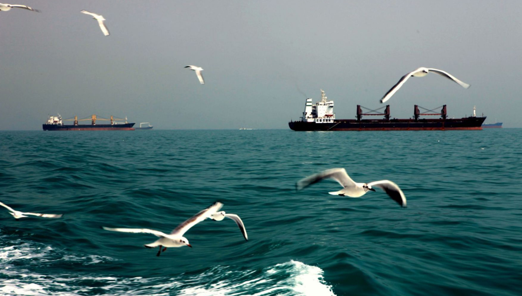 Merchant vessels transit the Persian Gulf near Hormuz Island off the coast Iranian. Image: Wikimedia Commons Image:Merchant vessels transit the Persian Gulf near Hormuz Island off the coast Iranian. Image: Wikimedia Commons