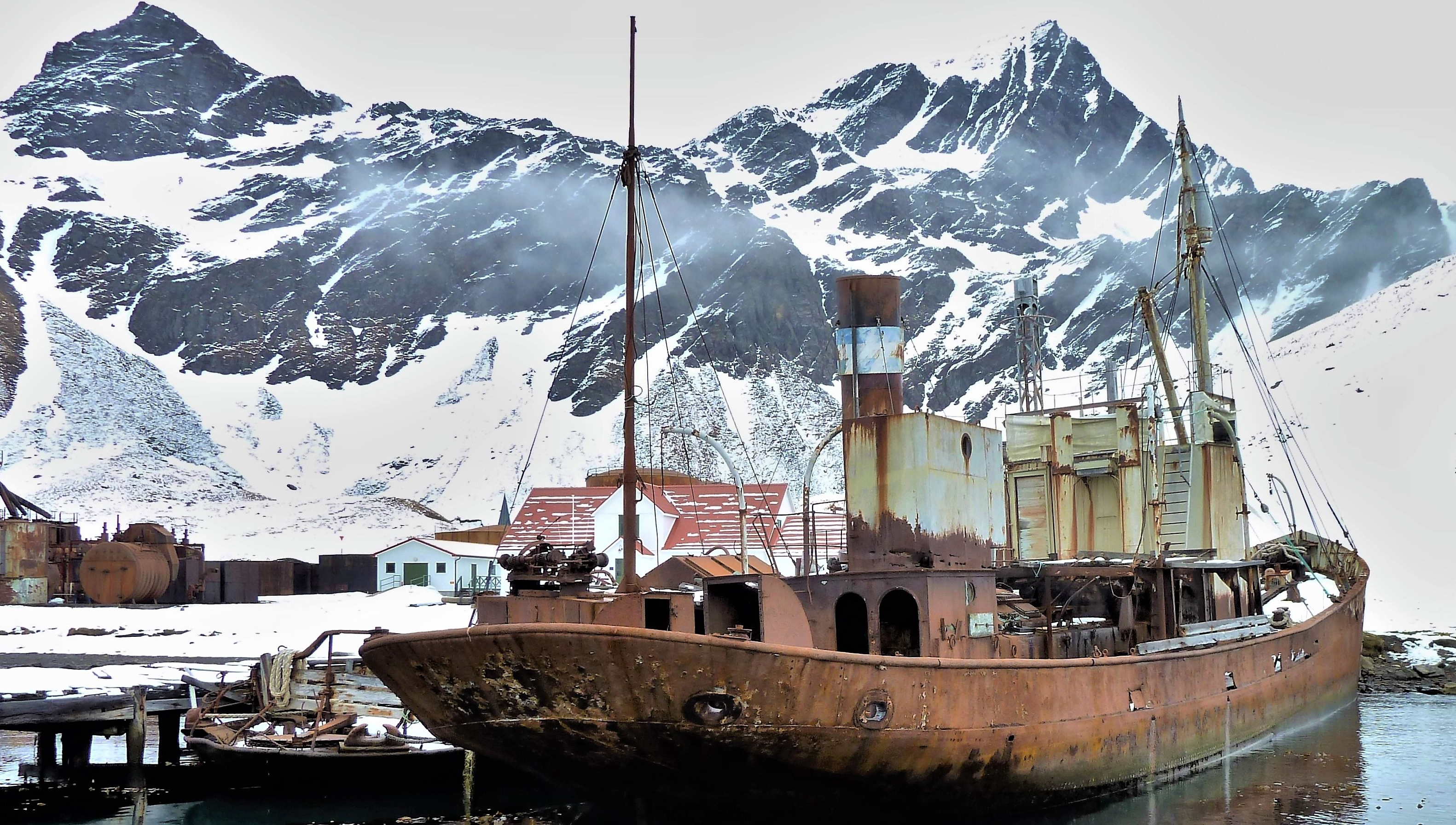 The Viola on the beach at Grytviken, South Georgia Image:The Viola on the beach at Grytviken, South Georgia