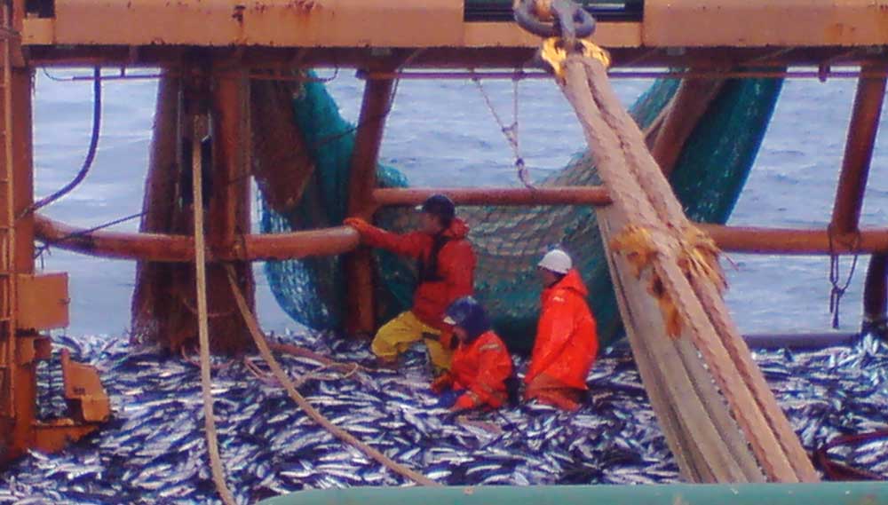 Fisher crew at work. Image: Nautilus member Ademe Douwe entry in the Nautilus photocompetition 2019. Image:Fisher crew at work. Image: Nautilus member Ademe Douwe entry in the Nautilus photocompetition 2019.