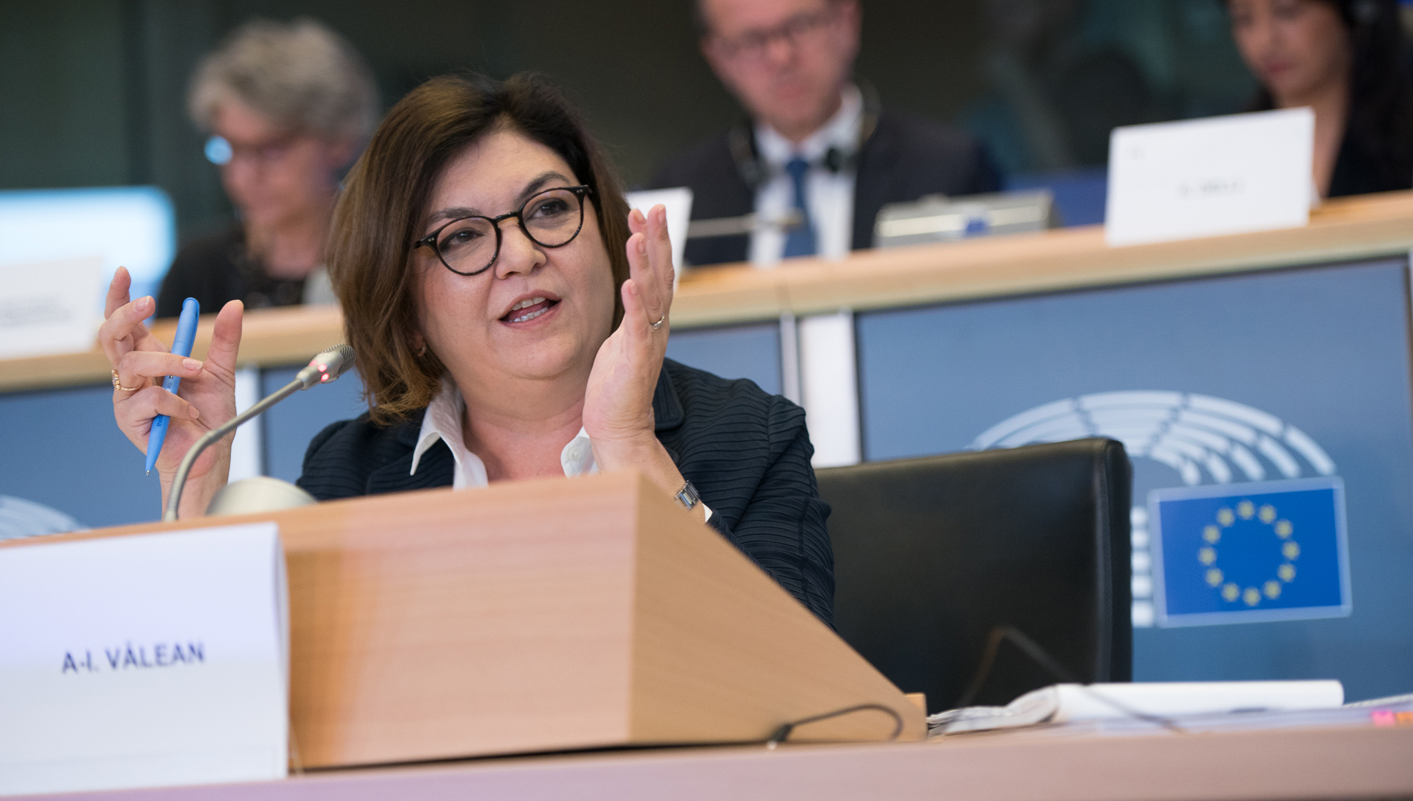 Adina Vălean has been appointed as EU Transport Commissioner for 2019-2024. Image: Wikimedia Commons Image:Adina Vălean has been appointed as EU Transport Commissioner for 2019-2024. Image: Wikimedia Commons