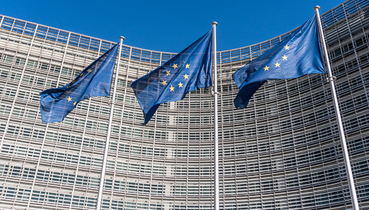 Following the Russian invasion of Ukraine, the country has applied to join the European Union. Image: Getty Images Image:Following the Russian invasion of Ukraine, the country has applied to join the European Union. Image: Getty Images