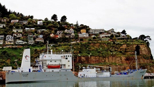 Image:A cement carrier operating on a New Zealand coastal route. Image: Wikimedia Commons