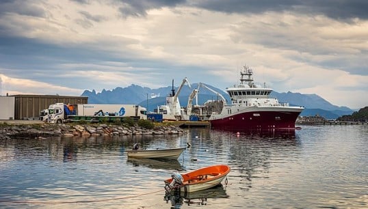 The port of Skjervøy, Norway. Image: Wikimedia commons
Image:The port of Skjervøy, Norway. Image: Wikimedia commons
