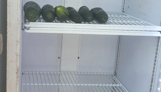 An almost empty fridge shows what little food supplies were left for the 16 crewmembers of the Ra-Horakhty before Stella Maris stepped in. Image: Stella Maris Image:An almost empty fridge shows what little food supplies were left for the 16 crewmembers of the Ra-Horakhty before Stella Maris stepped in. Image: Stella Maris