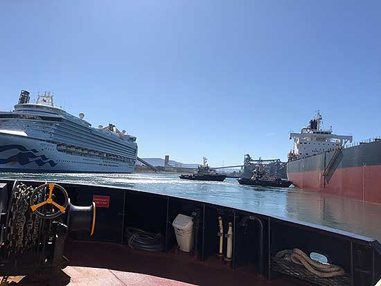 ruby_princess_port_kembla_tug_web_insert.jpg ruby_princess_port_kembla_tug_web_insert.jpg