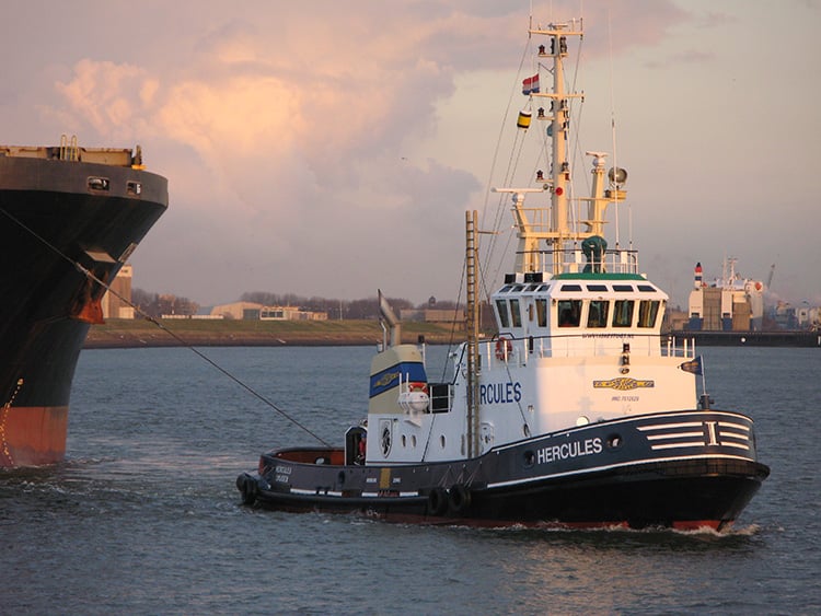 Havensleper Hercules Image:Havensleper Hercules