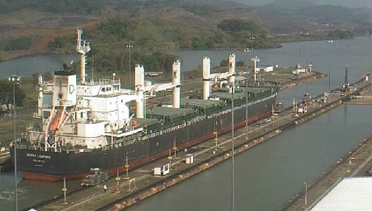 The Maltese-flagged MV Densa Leopard. Image: VesselFinder.com Image:The Maltese-flagged MV Densa Leopard. Image: VesselFinder.com
