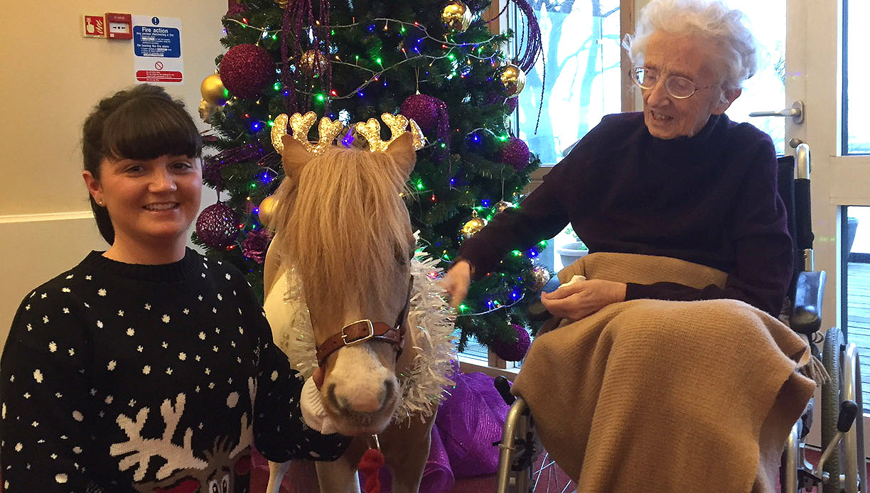 Image: therapy pony Fudge Cake visits Mariners' Park resident Rita Carrier with his owner Jess O'Brien. Image: therapy pony Fudge Cake visits Mariners' Park resident Rita Carrier with his owner Jess O'Brien.