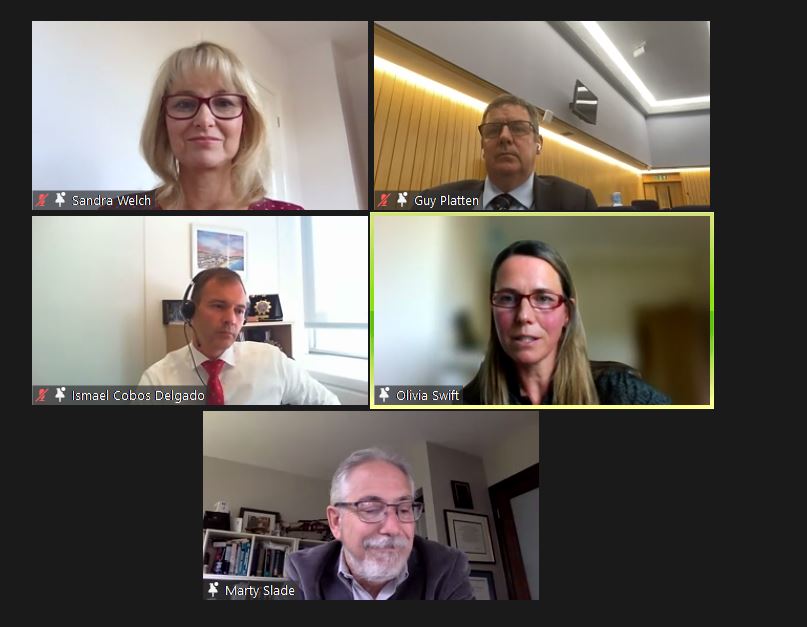 shs_webinar4.JPG shs_webinar4.JPG